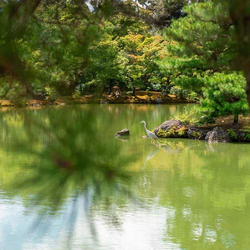 Photo #13639349
