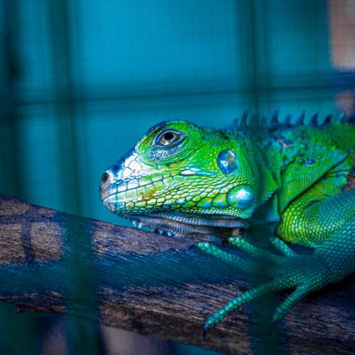Photo #13639358
