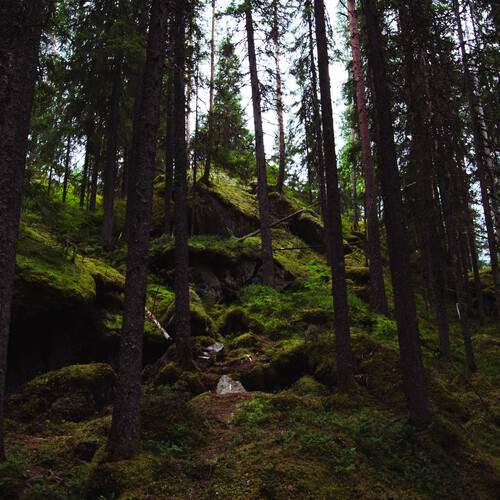 Photo #13639360