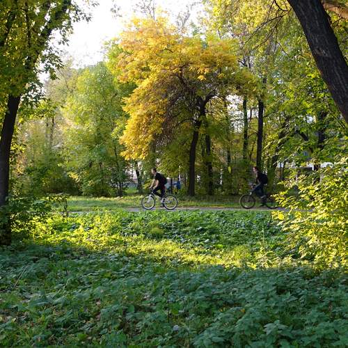 НА  ВЕЛОСИПЕДАХ  ПО  ДОРОЖКЕ…