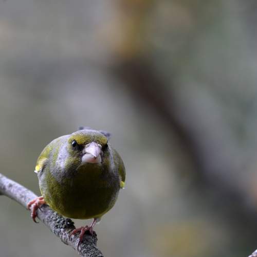 Photo #13639425