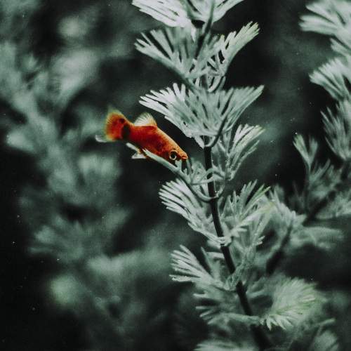 Photo #13639436