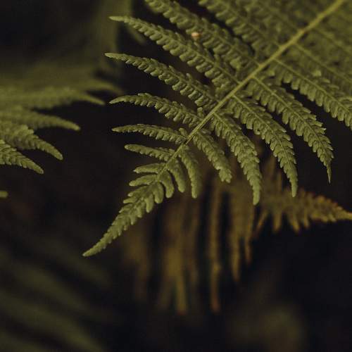 Photo #13639440