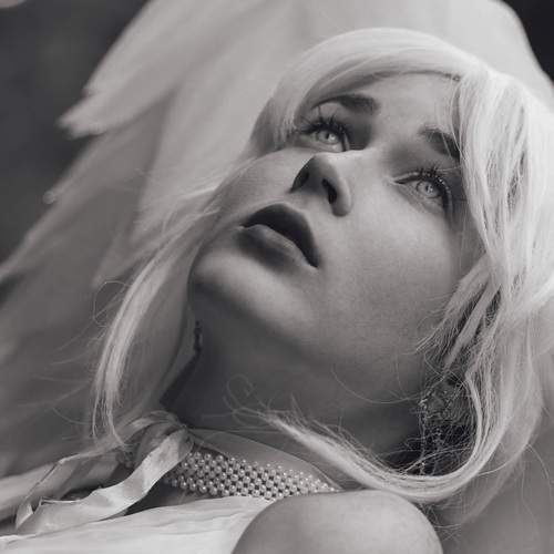Photo #13639443