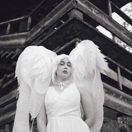 Photo #13639444