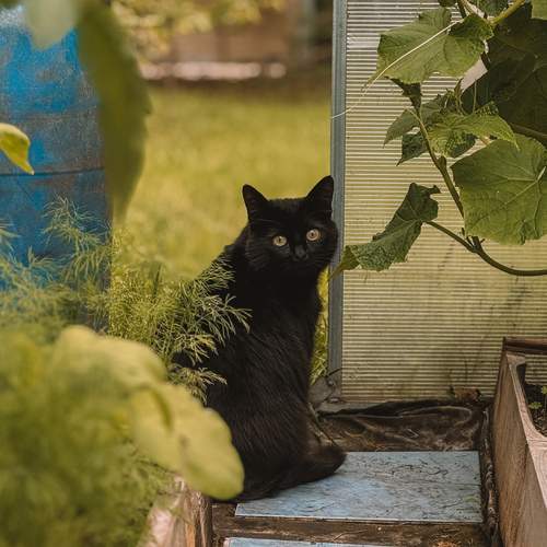 Photo #13639472