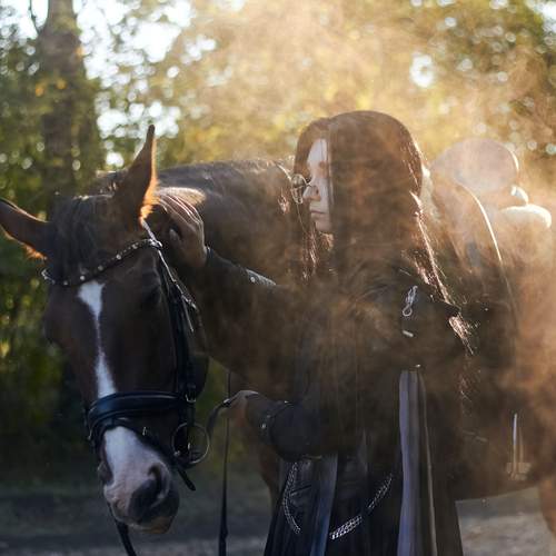 Photo #13639503