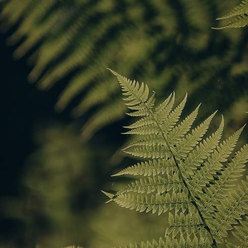 Photo #13639509