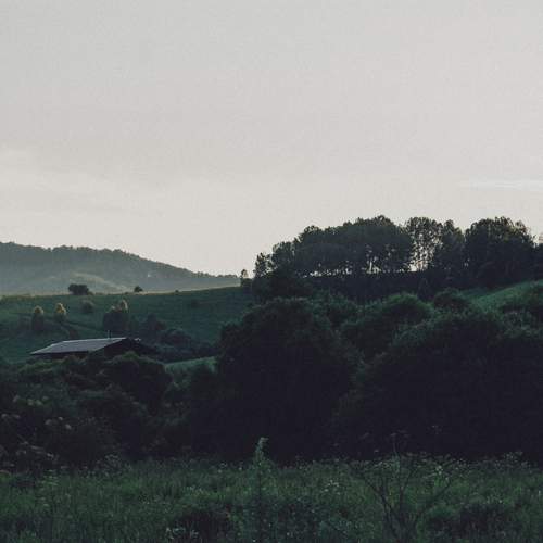 Photo #13639511