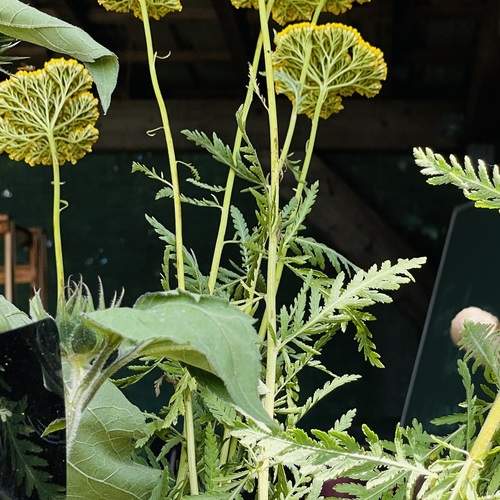 Photo #13639547