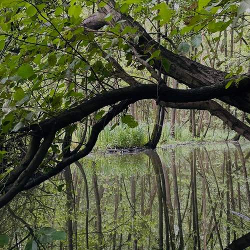 Photo #13639548