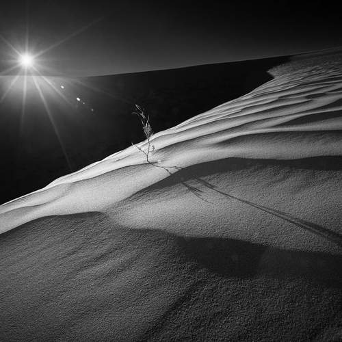 Boris Bekelman