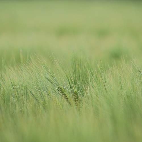 Photo #13639748