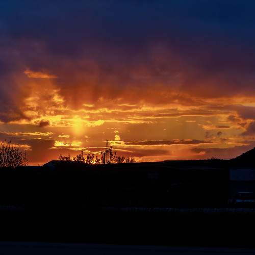 Photo #13639761