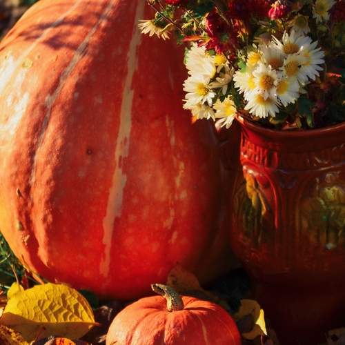 Photo #13639890