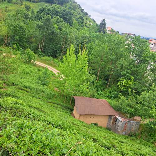Photo #13639924