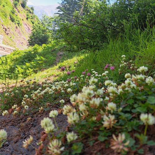 Photo #13639934