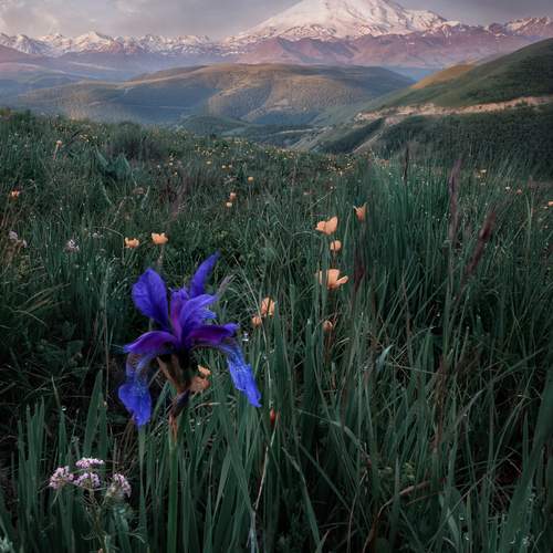 Photo #13639981