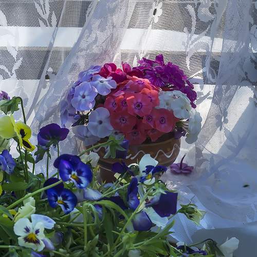 Photo #13640006