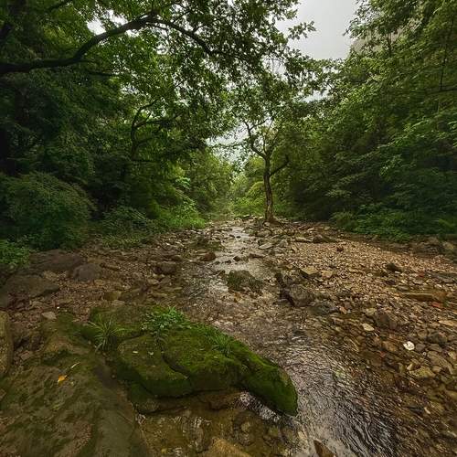 Photo #13640039