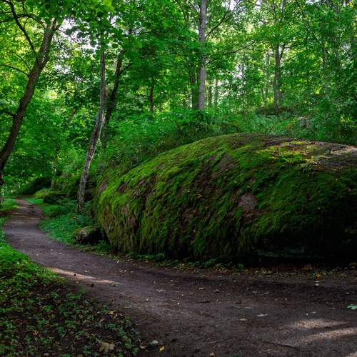 Photo #13640050