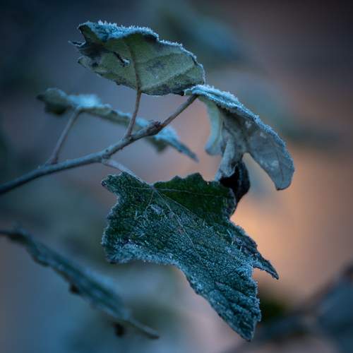 Photo #13640106
