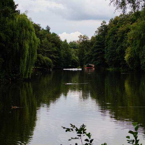 Photo #13640218