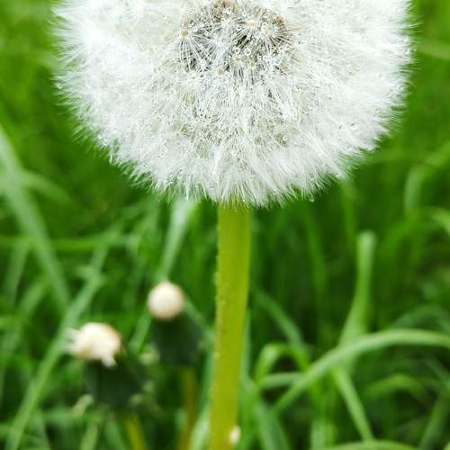 Photo #13640252