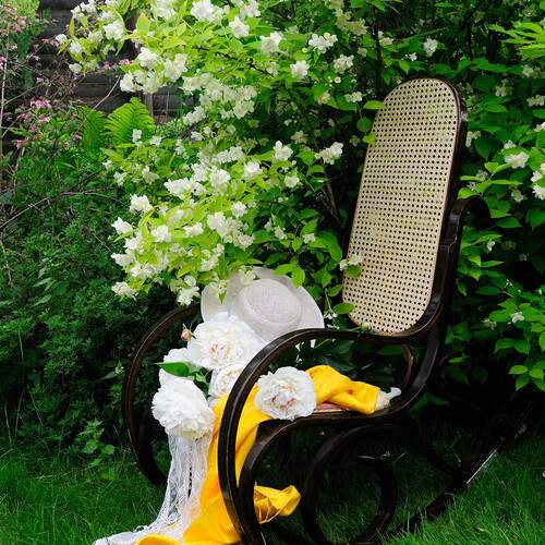 Photo #13640254