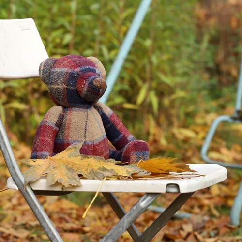 Photo #13640271
