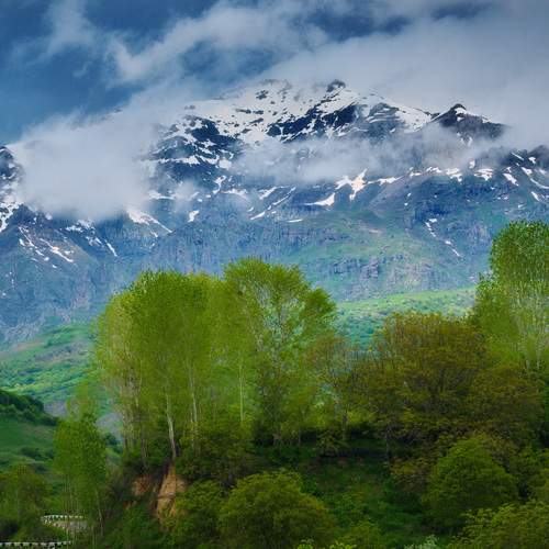 Photo #13640273