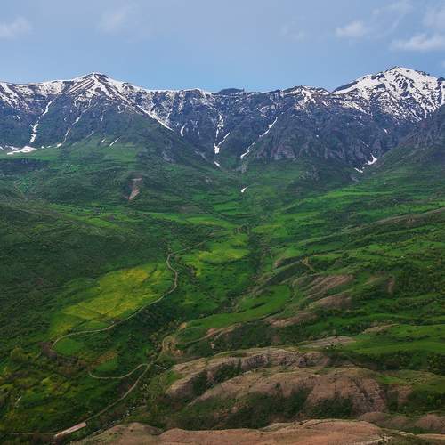 Photo #13640276