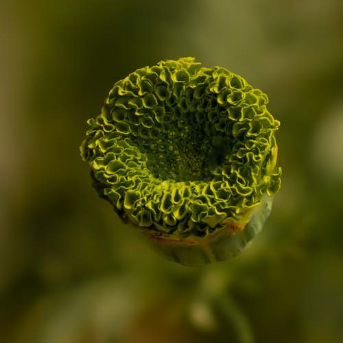 Photo #13640422