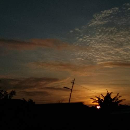 Photo #13640471