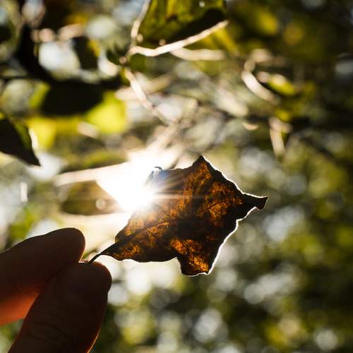 Photo #13640601