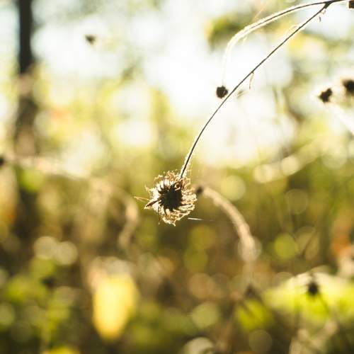 Photo #13640607