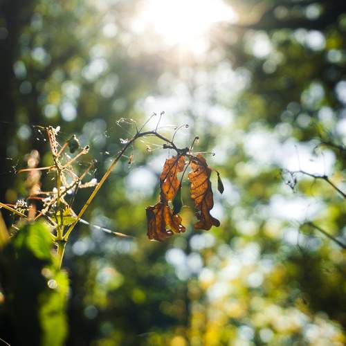 Photo #13640609
