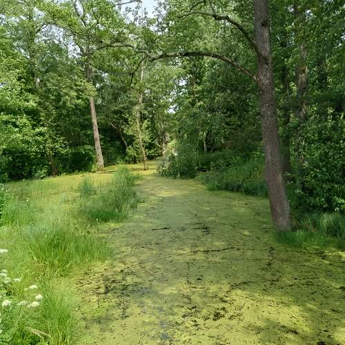 Photo #13640704