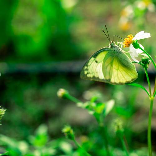 Photo #13640846