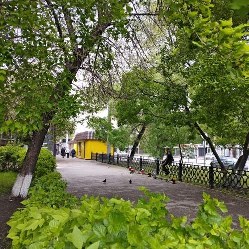 Photo #13640861