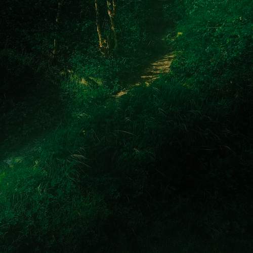 Photo #13640868