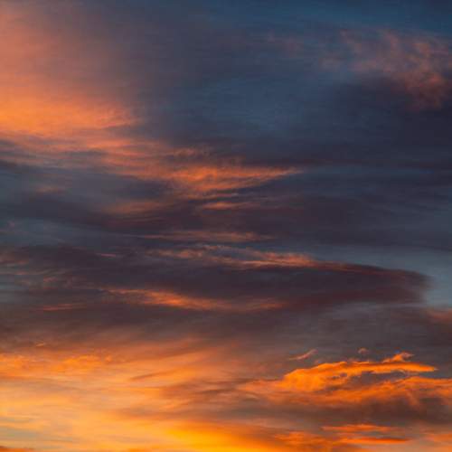 Photo #13640889