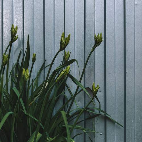 Photo #13640902
