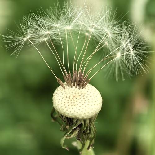 Photo #13640933