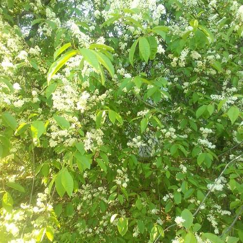 Photo #13640976