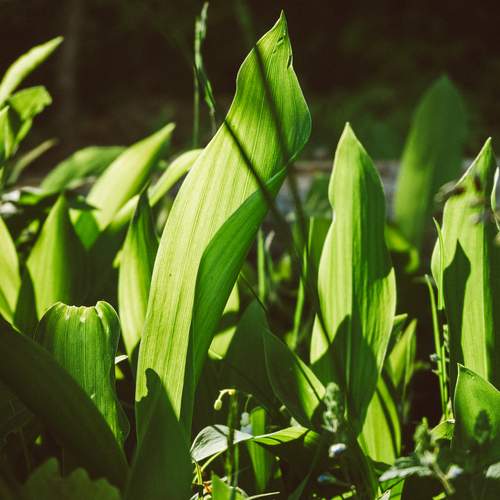 Photo #13641119