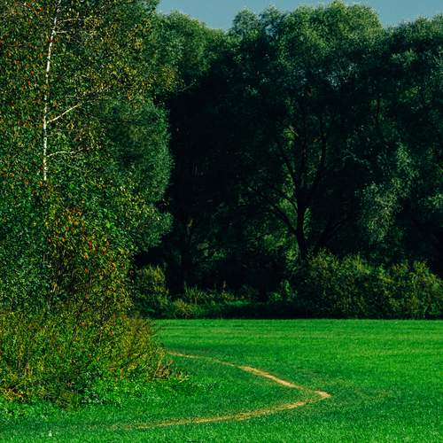Photo #13641120