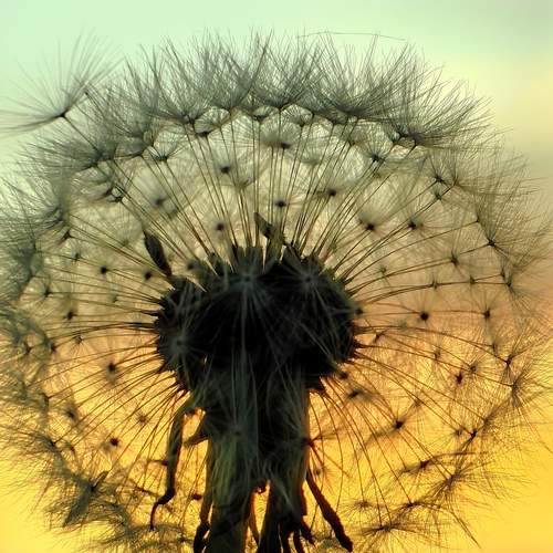 Photo #13641148