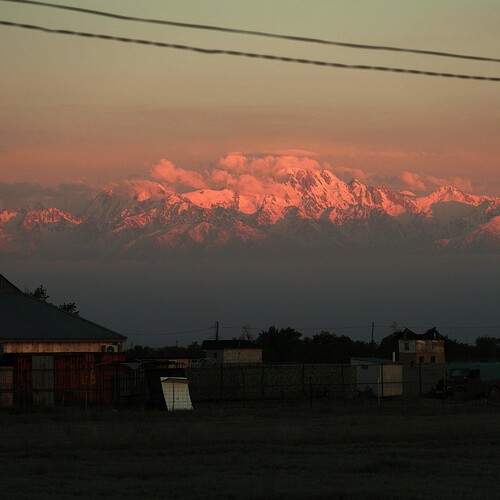 Photo #13641250