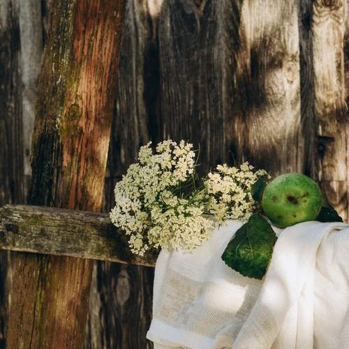 Photo #13641251